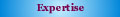 Our Expertise